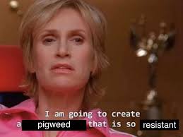 Marissa Dillon (@agromarissa)