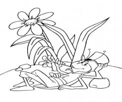 Pin On Ausmalbilder Biene Maja