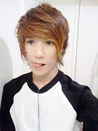 Schone Kurze Emo Frisuren Fur Jungs Neu Frisuren 2018 Short Emo Hair Emo Hairstyles For Guys Short Scene Hair