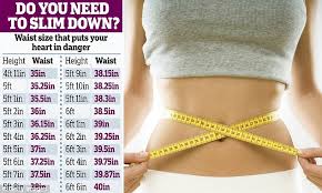 Why Your Waist Size Shows Your Heart Risk Not Your Bmi