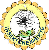 Pin Auf Vabalai