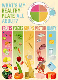 healthy eating plate concept infographic chart with proper nutrition