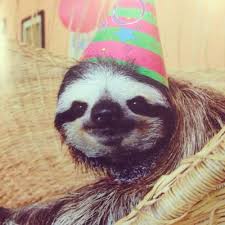 Check spelling or type a new query. Happy Birthday Sloth Lol Emily Schoenfeld Mccullough I Couldn T Wait Until February To Show You This Bahahah Love Sloth Lovers Cute Animals Animals Wild