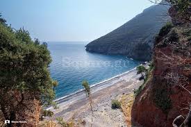 Check spelling or type a new query. Paralia Akth