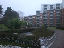 49 immobilieninserate zum mieten und kaufen unter günstige wohnungen köln bei homebooster. 2 Zimmer Wohnung Zu Vermieten Stresemannstr 8 51149 Koln Finkenberg Mapio Net