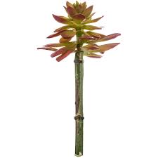 Check spelling or type a new query. Pink Succulent Pick Hobby Lobby 513788