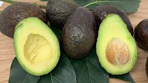 Check spelling or type a new query. Hass Avocado Tree For Sale In Los Angeles Potted