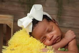 Koko Beans Photography