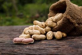 Organic Groundnuts