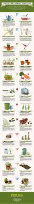 Spezialist für pflanzenversand und gartenversand. Gartenjahr Als Grafik Hier Geht S Zu Den Gartentipps
