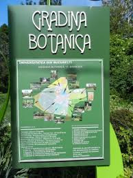 Aflata aproape de centrul capitalei, in zona linistita a cotroceniului, gradina botanica e un loc verde si placut, unde se pot desfasura. Un Altfel De Parc Gradina Botanica Bucuresti Impresii Bucuresti Romania