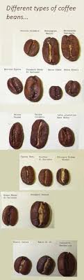 What Are The Different Types Of Coffee Beans Types Of Coffee Beans Coffee Recipes Coffee Beans