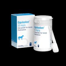 Image result for Equilabium stenosiphon