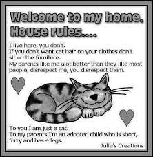 Pin By Neena Neena On Cats Cats Cat Quotes Crazy Cats
