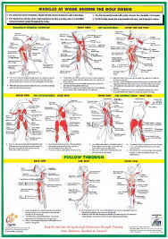 10 Printable Exercise Charts Pdfs Mind And Body Health
