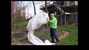 Cover tender flowers and vegetables on frosty nights, and you may be able to enjoy. Best Ways To Protect Plants From Frost Youtube