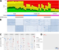 Cell and tissue engineering centers on the application of physical and engineering principles to understand and control cell and tissue behavior. Gene Expression Profiling Of Single Cells From Archival Tissue With Laser Capture Microdissection And Smart 3seq Biorxiv