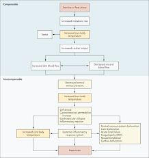 Image result for Stroke Pathophysiology