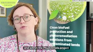 Welcome to the Laurel Wheeler Foundation