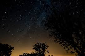 We did not find results for: Stargazing In Portugal Seafood And Skies Orchards Near Me