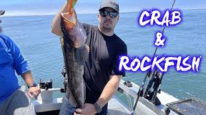 Maybe you would like to learn more about one of these? Bodega Bay Crab Rockfish Fishing Youtube