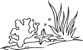 Seaweed Coloring Pages Clipart Best Clipart Best Coral Reef Drawing Coloring Pages Coral Reef