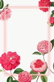 Black And Rose Gold Background Png Download Premium Png Of Red And Pink Camellia Flower Patterned Blank Frame In 2020 Flower Frame Png Flower Frame Flower Illustration