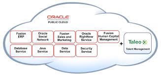 News Analysis The Implications Of Oracles Acquisition Of