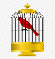Galeri gambar kartun burung enggang. Bird Cell Golden Cage Gold Closed Red Bird Parrot Gambar Kandang Burung Kartun Free Transparent Png Clipart Images Download