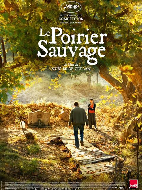 Ahlat Agaci AKA The Wild Pear Tree movie poster (2018)