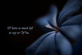 I never heard this song before, found it when i was. I Miss You Flowers Nature Background Wallpapers On Desktop Nexus Image 2079961