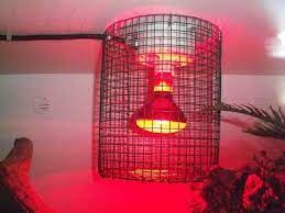 Cages And Enclosures Light Cage For Snake Enclosures Snake Enclosure Snake Cages Pet Cage