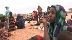 It has many languages though somali and afar are the most widely spoken ones. Stepping Up The Response In The Horn Of Africa Ocha