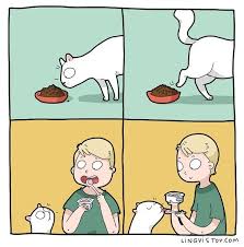 Who Wants Expensive Cat Food When You Can Share Yogurt With Your Human My Friend Tells Me His Cat Eats A Cucumber If He S Having On In 2020 Cats Cat Doodle