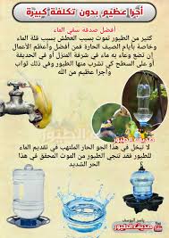 صديق الطيور صديق الطيور Facebook