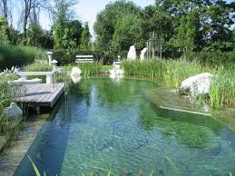 Schnelle lieferung ► jetzt kaufen! Schwimmteich Contemporary Pool Other By Garten Und Landschaftsbau Pohl Gmbh