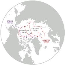 The arctic (/ˈɑːrktɪk/ or /ˈɑːrtɪk/) is a polar region located at the northernmost part of earth. Arctic Ocean Changes Driven By Sub Arctic Seas