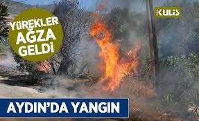 Aydın'ın germencik ilçesinde ortaklar organize sanayi bölgesi'nde bulunan bir fabrikada yangın çıktı. Aydin Da Yangin