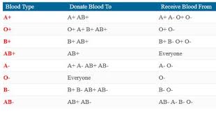Blood Type Chart Facts And Information On Blood Group Types