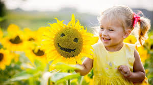 How long does it take to grow sunflowers in ontario? Sunflower Fields And Mazes In Ontario For A Day Trip To Do Canada