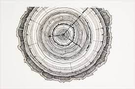 Genial Schwarze Ringe Tattoo Tree Ring Art Tree Ring Tattoo Tree Coloring Page