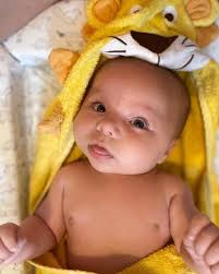 235 pirate chest brown (3 yards). Lion Hooded Towel Jojo Maman Bebe