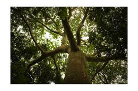 Diego Sida (@si_da_photos) • Instagram photos and videos