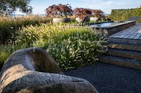 Baume Wie Skulpturen Ein Charakterstarker Garten Von Parc S Gartenumgestaltung Garten Bepflanzung