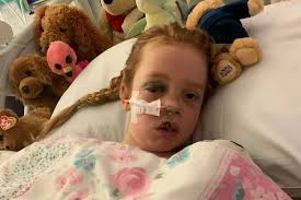 County Durham girl, seven, sustained serious brain injury in horrific horse  riding accident
