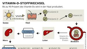 Nahrungserganzung Forscher Zweifeln Am Nutzen Von Vitamin D Pillen Welt