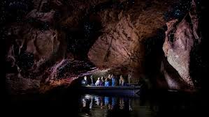 Real Journeys Te Anau Glowworm Caves Doubtful Sound Cruise Combo Epic Deals And Last Minute Discounts