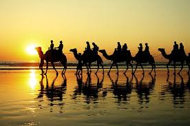 Camels are very interesting animal. 10 Top Rated Tourist Attractions In Broome Planetware