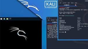 Below you'll find links that lead directly to the download page of 25 popular linux distributions. Kali Linux Iso Download 64 Bit 32 Bit Installer 2020 4