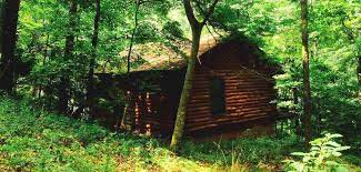 Blue heron campground & resort offers rustic cabins right on the bank of the white river in the north central region of arkansas, making it a premier trout fishing spot. Eureka Springs Cabin Rentals In The Arkansas Ozarks With Hot Tubs Pet Friendly